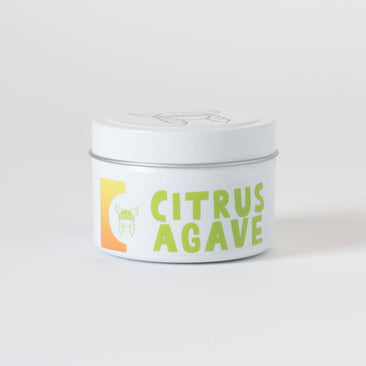 Citrus Agave Candle | Summer Collection - THE SILVER RIPPLE