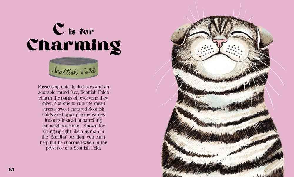Catphabet : A Cat Alphabet