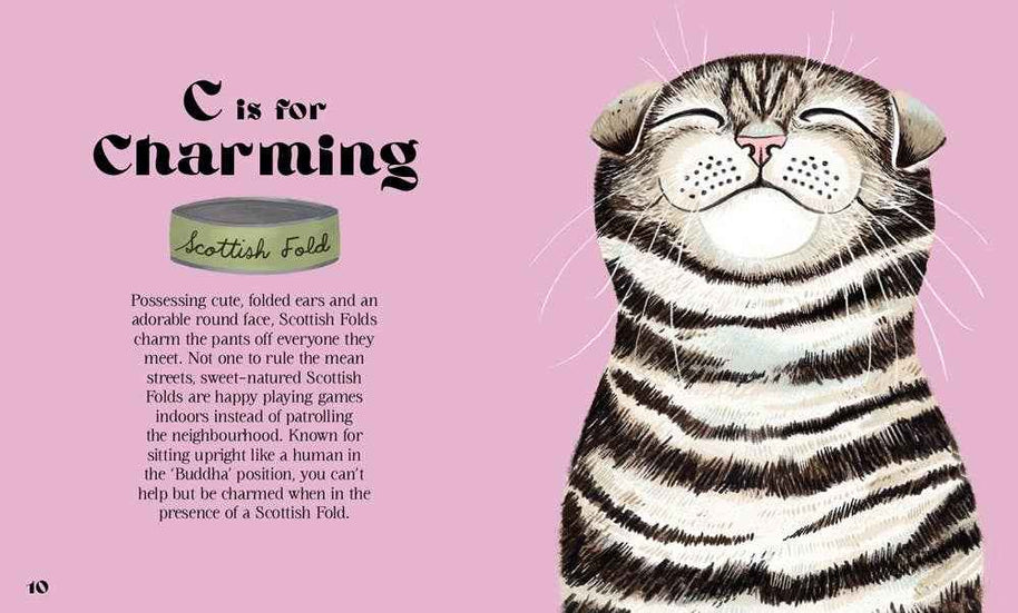 Catphabet : A Cat Alphabet
