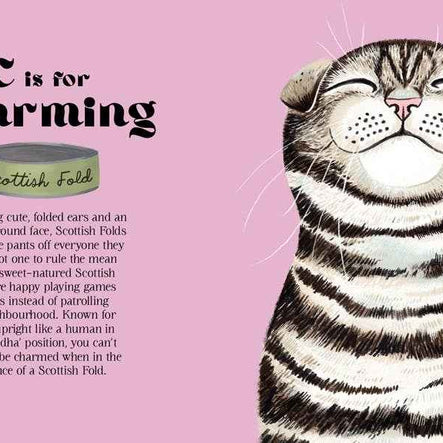 Catphabet : A Cat Alphabet