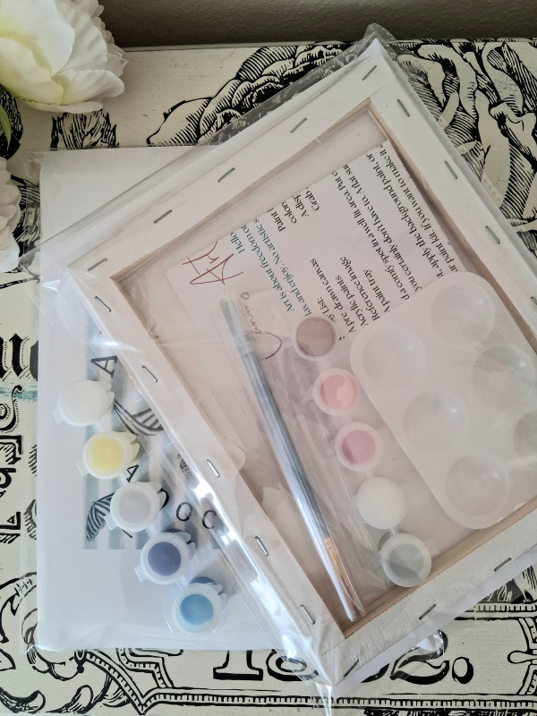 Blonde Dreamer DIY Painting  Art Kit