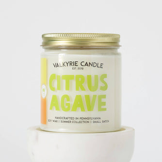 Citrus Agave Candle | Summer Collection - THE SILVER RIPPLE