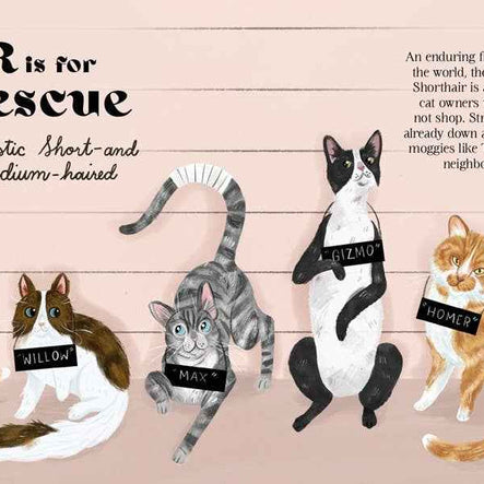 Catphabet : A Cat Alphabet